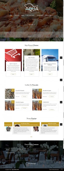 criação de sites